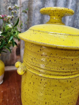 Mary Valley Fermentation Crocks - Banana Choc Chip - Peter Wallace Pottery